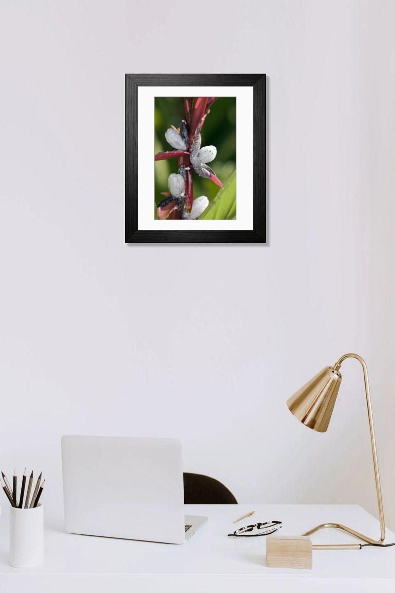 Shown hanging in a room: Modern 14"x12" (36x31cm)