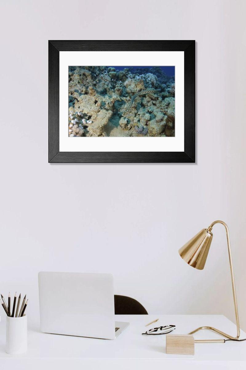 Shown hanging in a room: Modern 14"x12" (36x31cm)