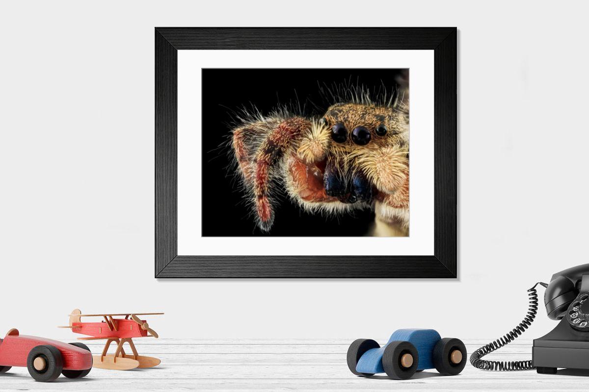 Shown hanging in a room: Modern 14"x12" (36x31cm)