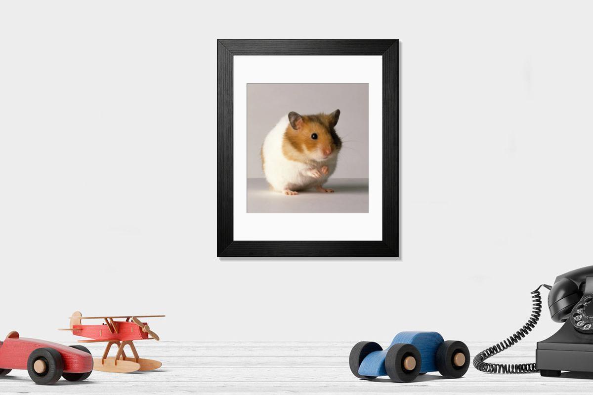 product preview 0