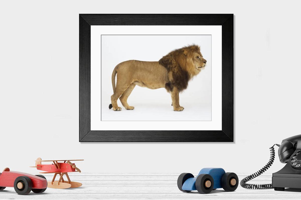 Shown hanging in a room: Modern 14"x12" (36x31cm)