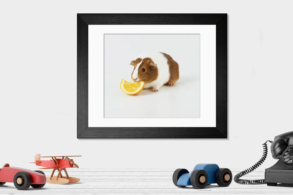 product preview 0