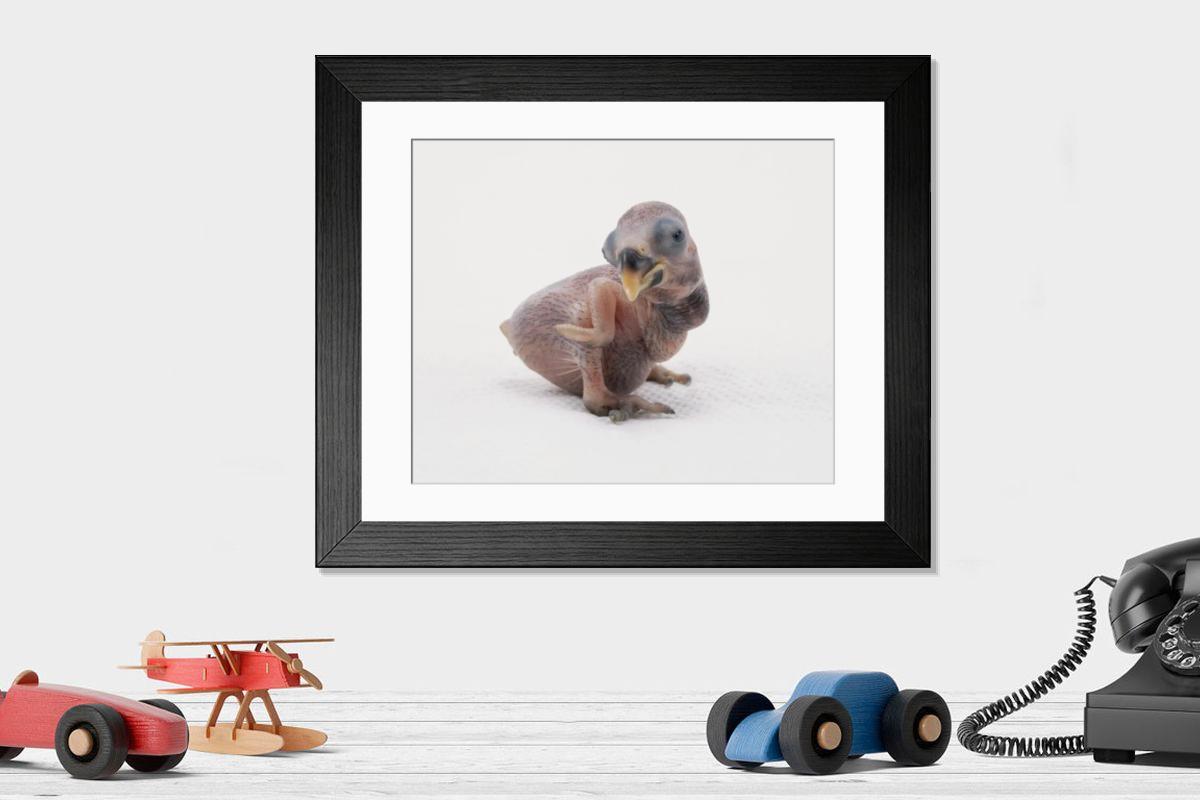 Shown hanging in a room: Modern 14"x12" (36x31cm)