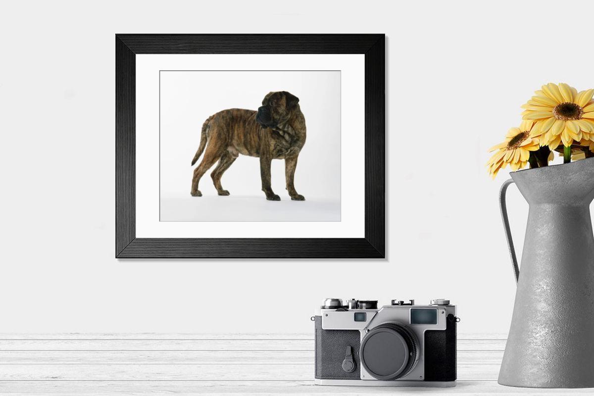 product preview 0