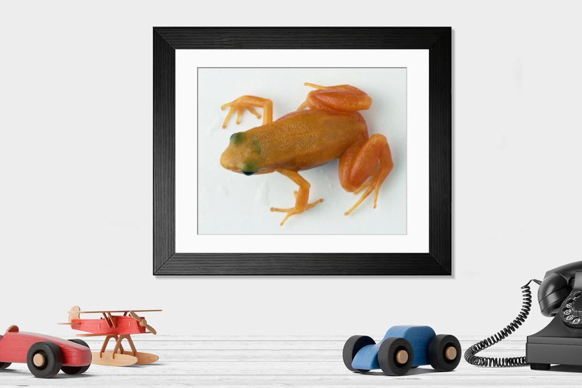 product preview 0