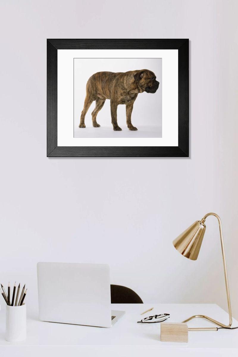 Shown hanging in a room: Modern 14"x12" (36x31cm)