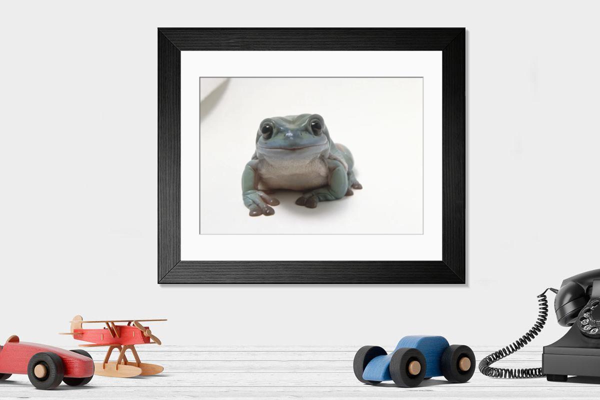 product preview 0
