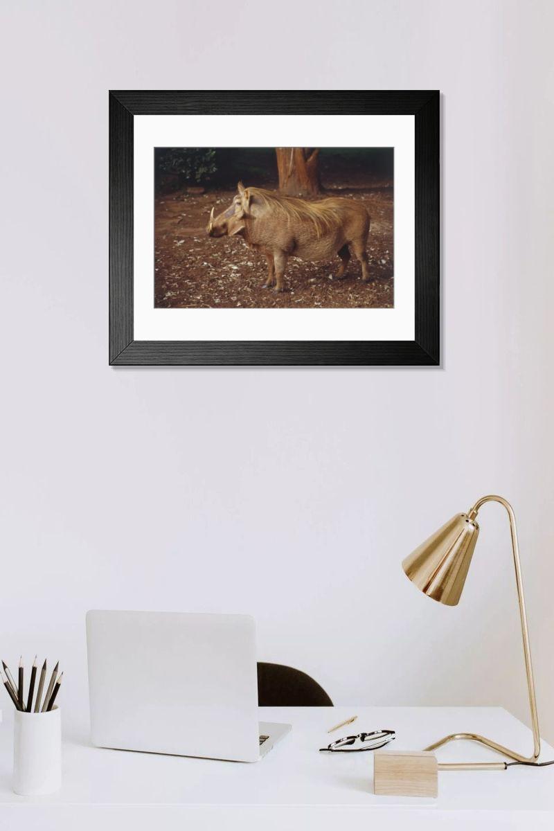 Shown hanging in a room: Modern 14"x12" (36x31cm)