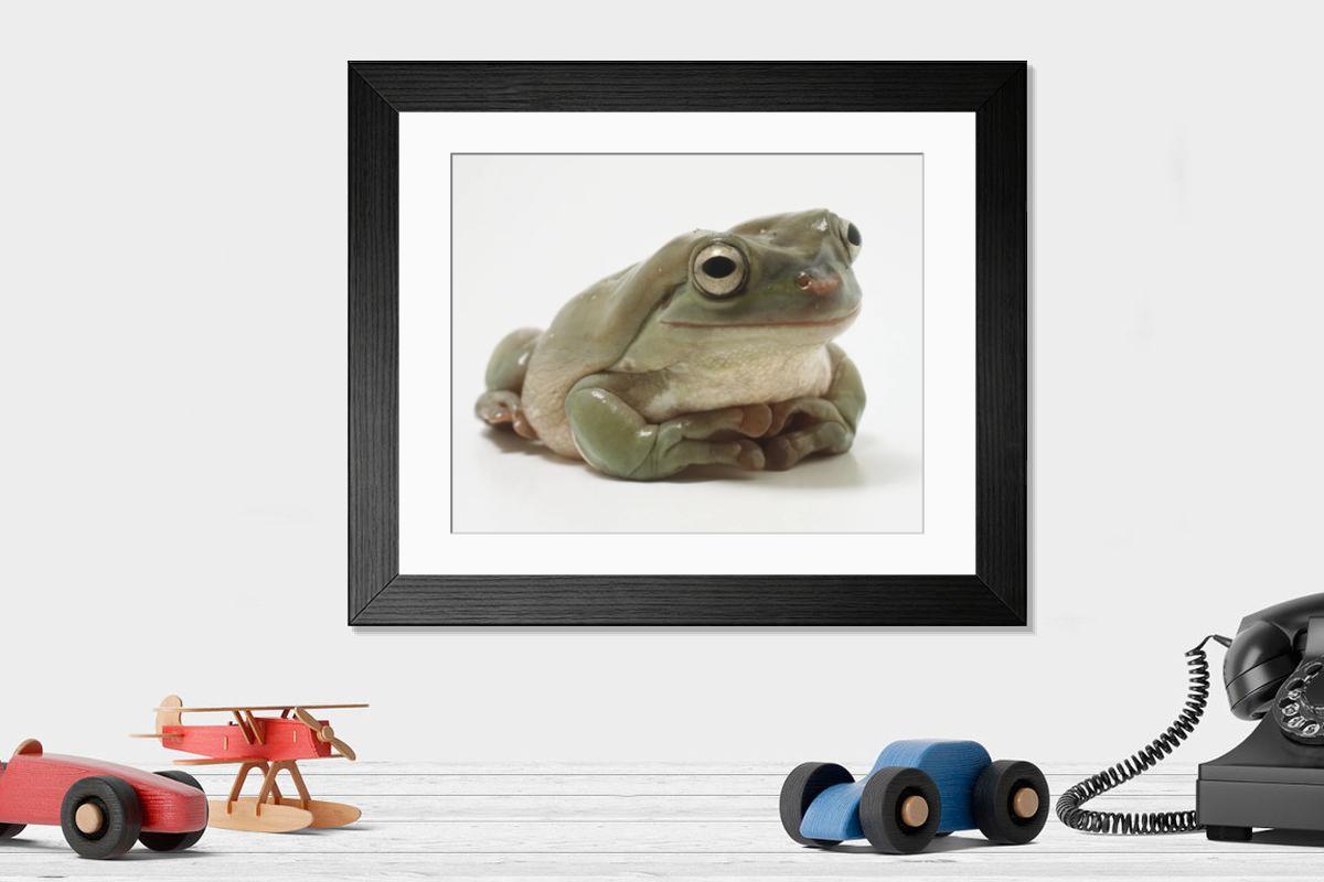 product preview 0