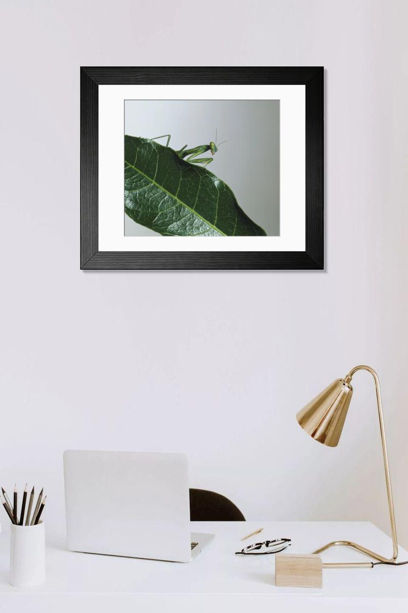 product preview 0