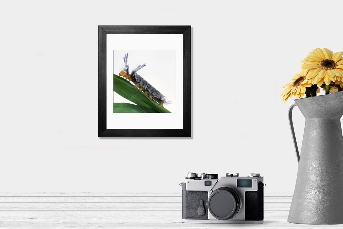 product preview 0