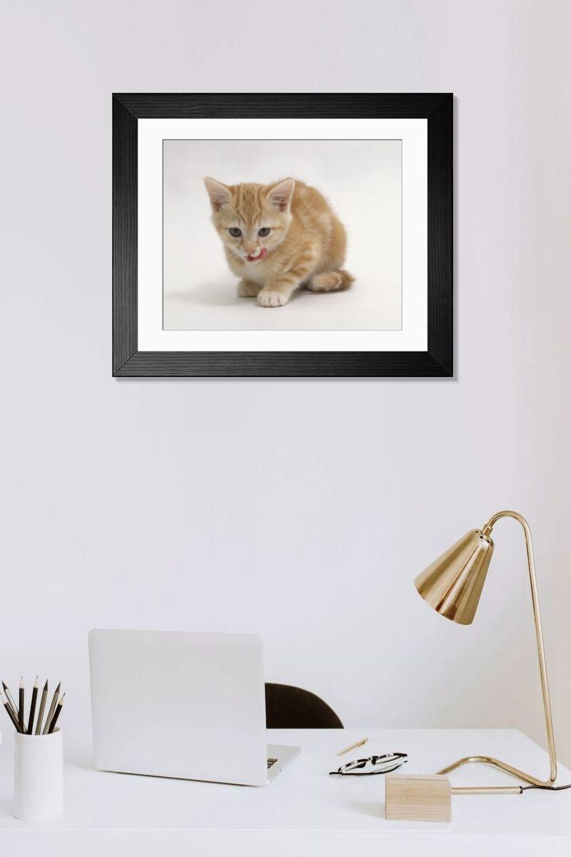 product preview 0
