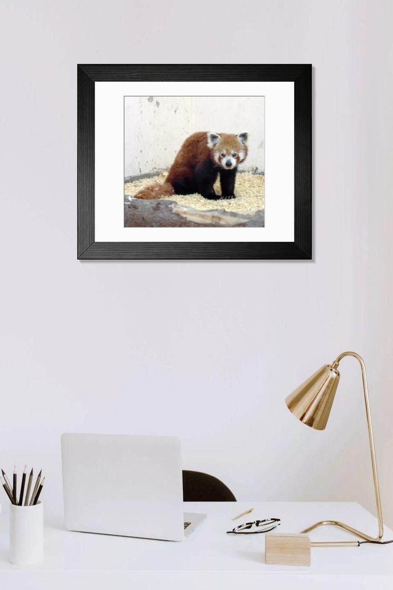 Shown hanging in a room: Modern 14"x12" (36x31cm)
