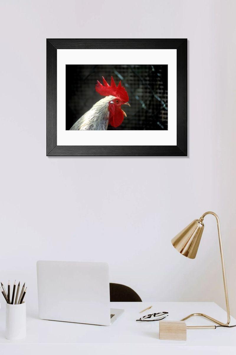 Shown hanging in a room: Modern 14"x12" (36x31cm)