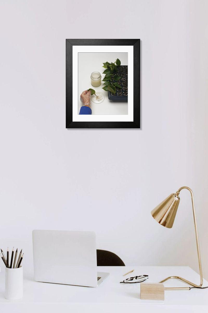 Shown hanging in a room: Modern 14"x12" (36x31cm)