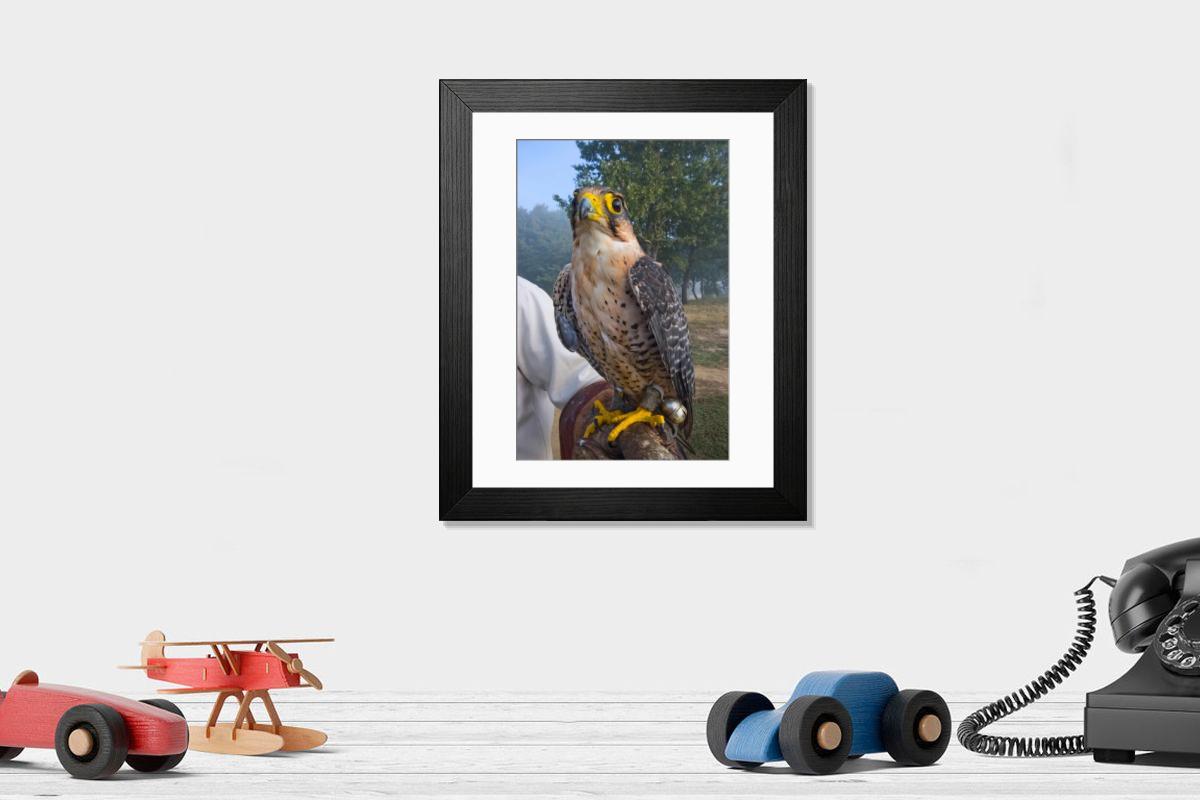 Shown hanging in a room: Modern 14"x12" (36x31cm)