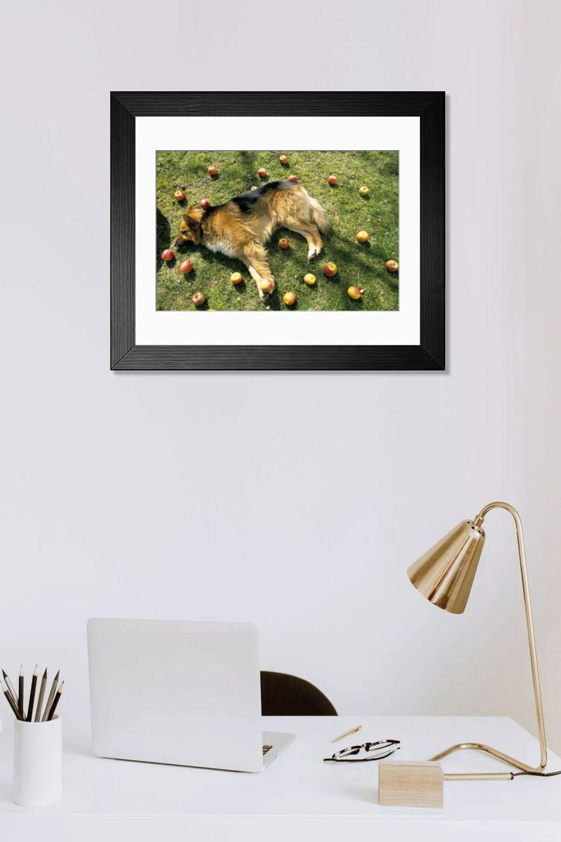 Shown hanging in a room: Modern 14"x12" (36x31cm)