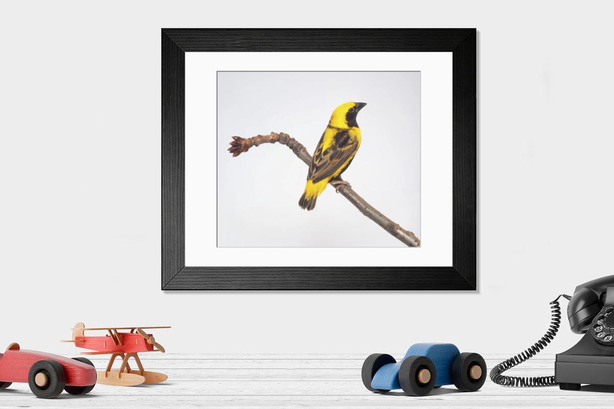 Shown hanging in a room: Modern 14"x12" (36x31cm)