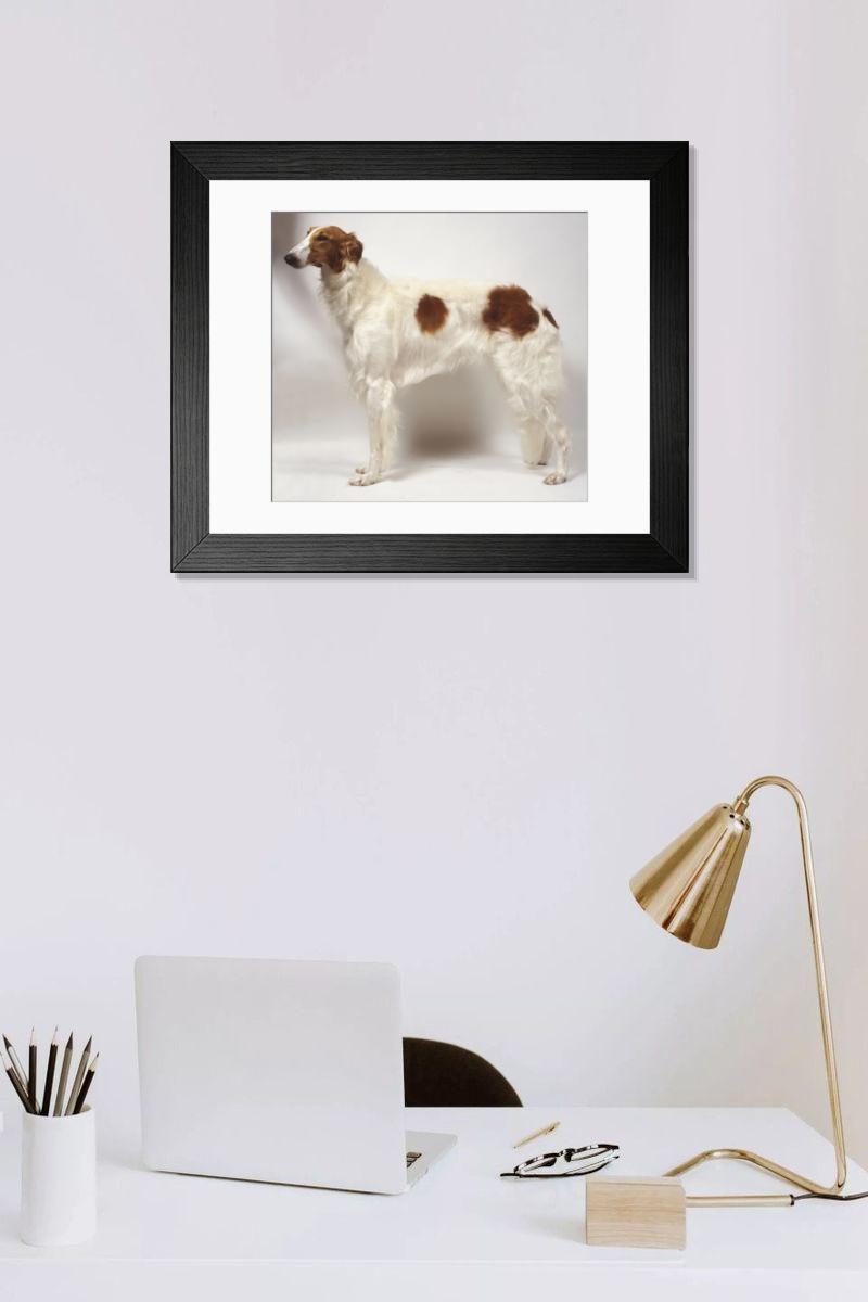 Shown hanging in a room: Modern 14"x12" (36x31cm)