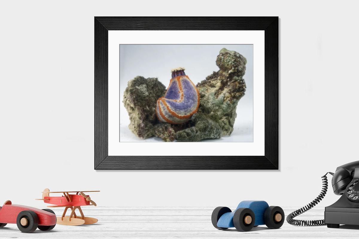 Shown hanging in a room: Modern 14"x12" (36x31cm)