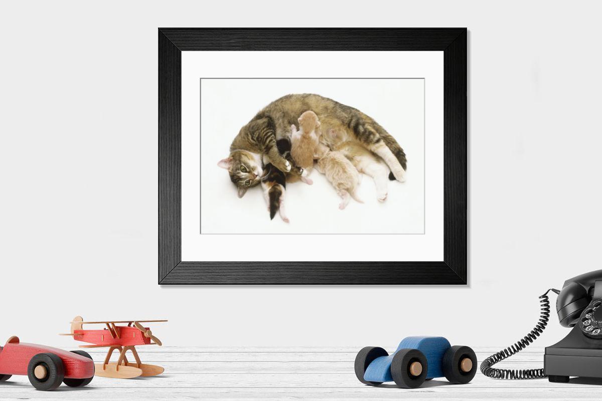 Shown hanging in a room: Modern 14"x12" (36x31cm)
