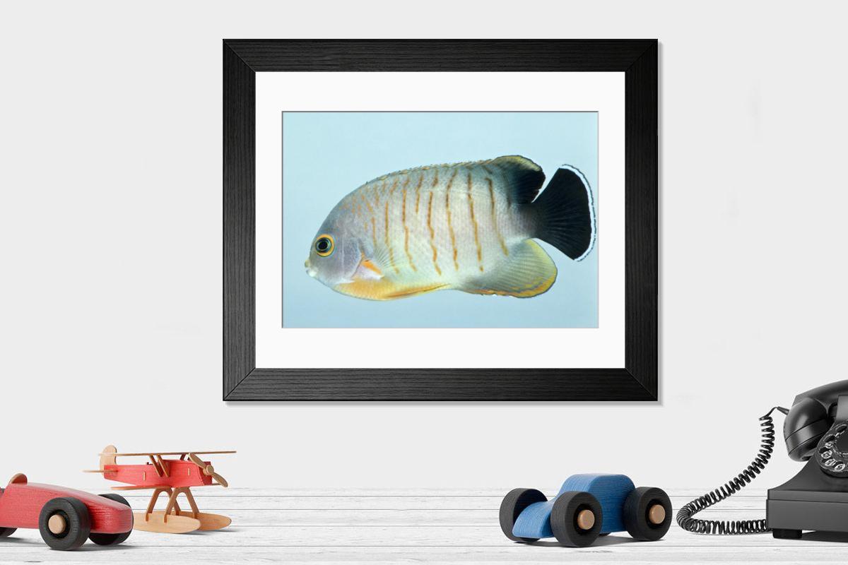 Shown hanging in a room: Modern 14"x12" (36x31cm)