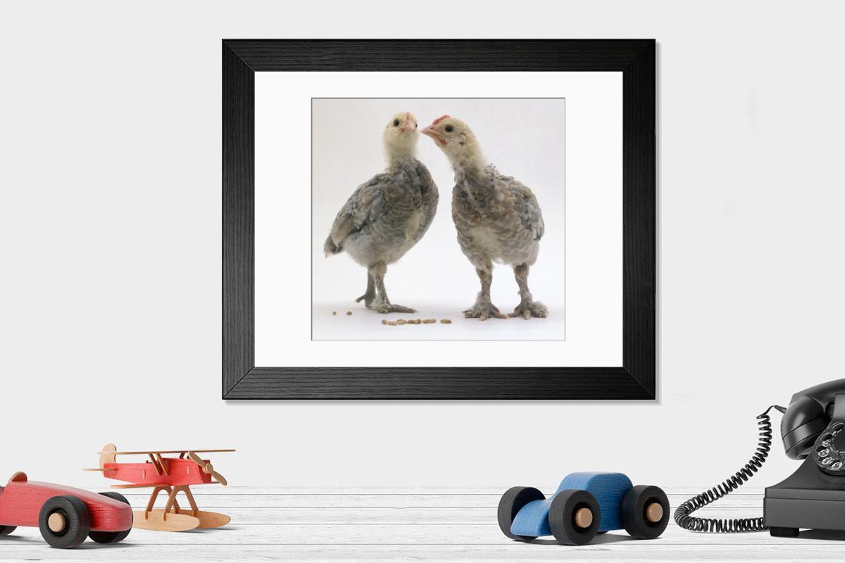 Shown hanging in a room: Modern 14"x12" (36x31cm)