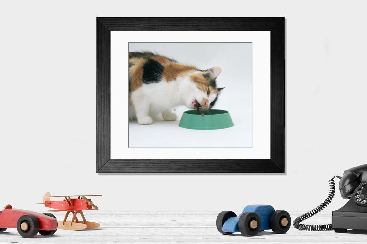 Shown hanging in a room: Modern 14"x12" (36x31cm)