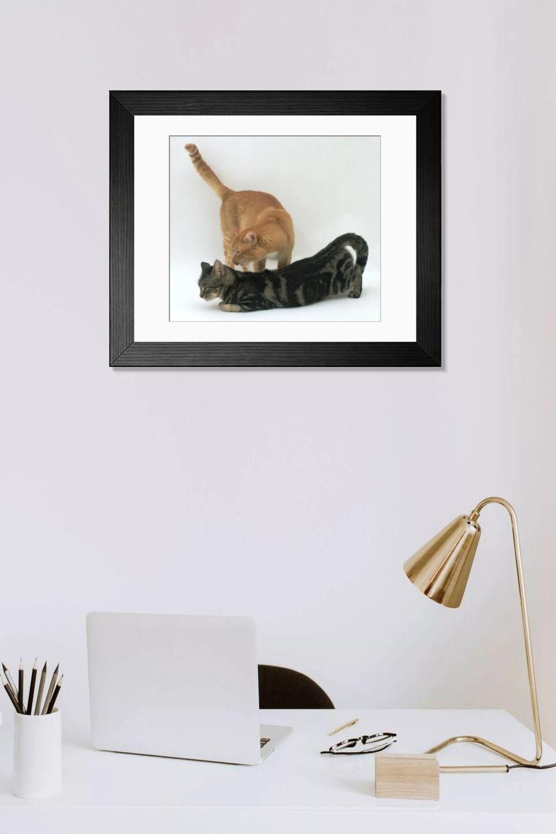 Shown hanging in a room: Modern 14"x12" (36x31cm)