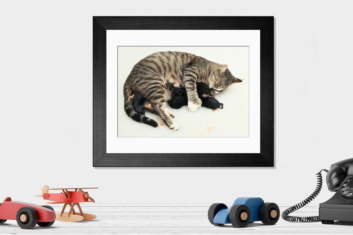 Shown hanging in a room: Modern 14"x12" (36x31cm)