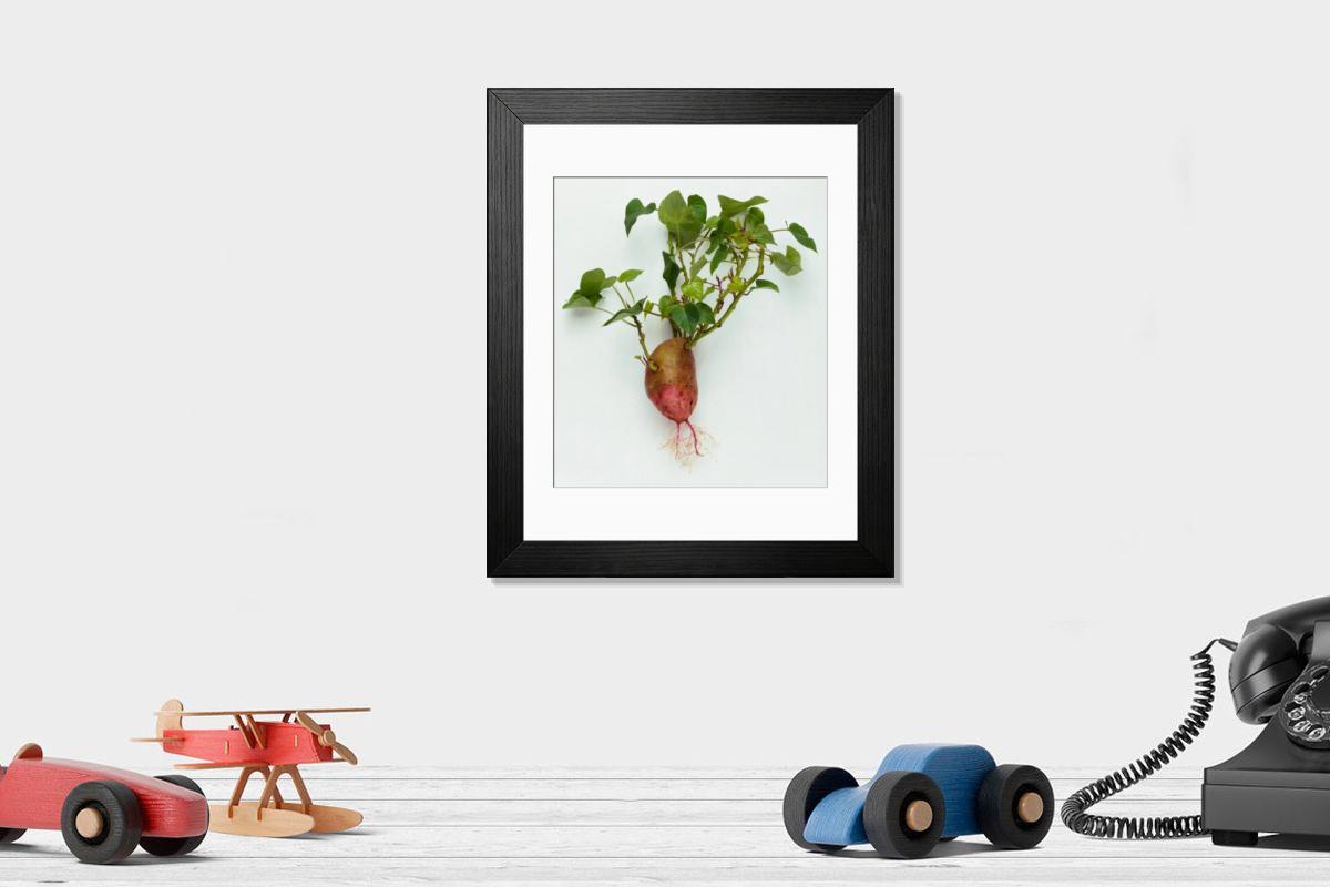 product preview 0