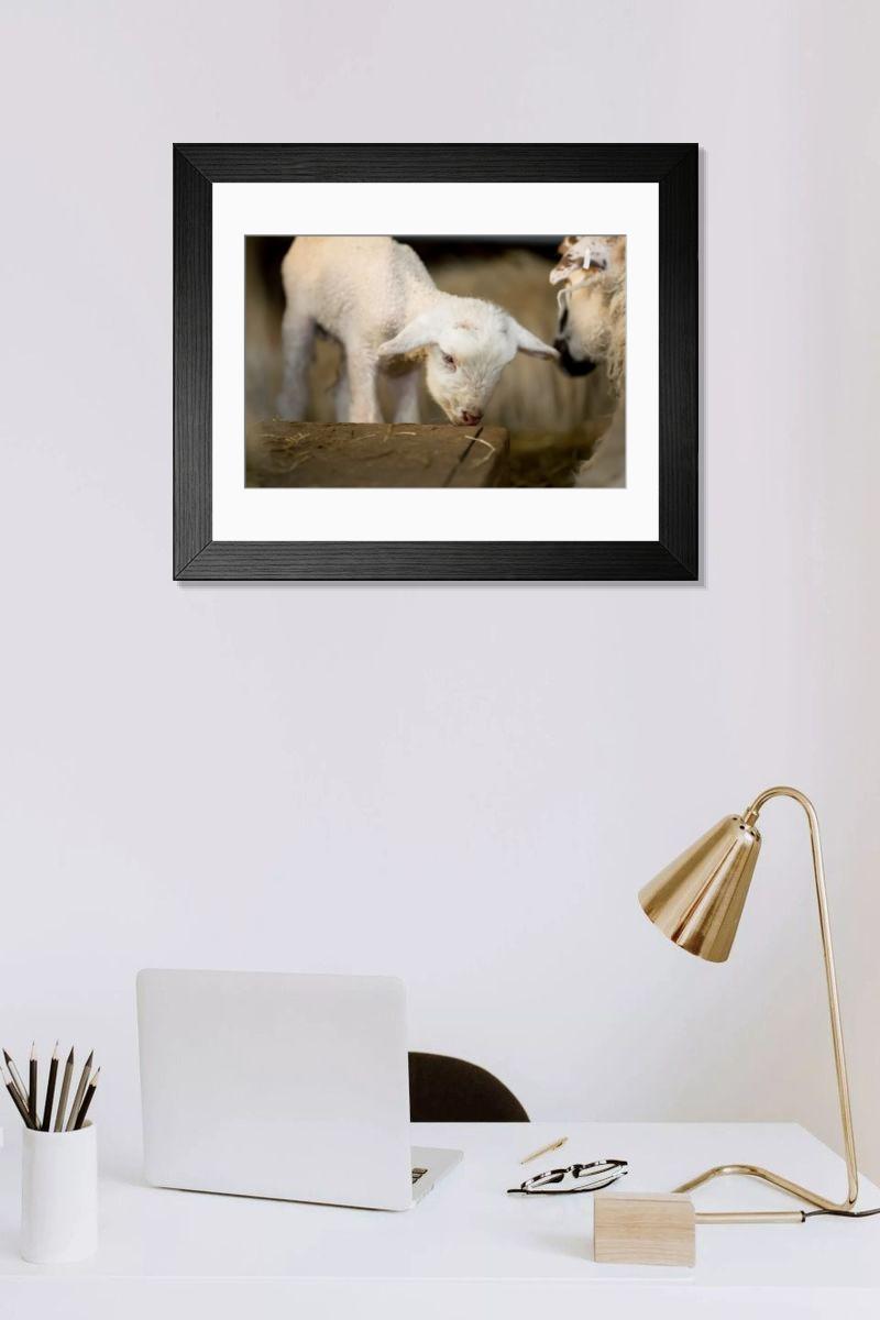 Shown hanging in a room: Modern 14"x12" (36x31cm)