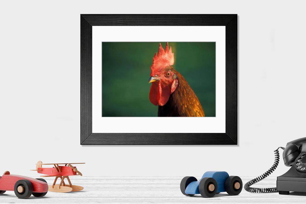 Shown hanging in a room: Modern 14"x12" (36x31cm)
