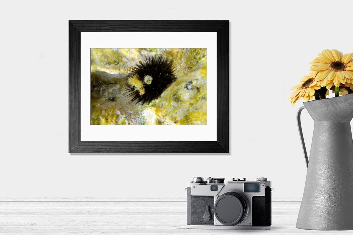 Shown hanging in a room: Modern 14"x12" (36x31cm)