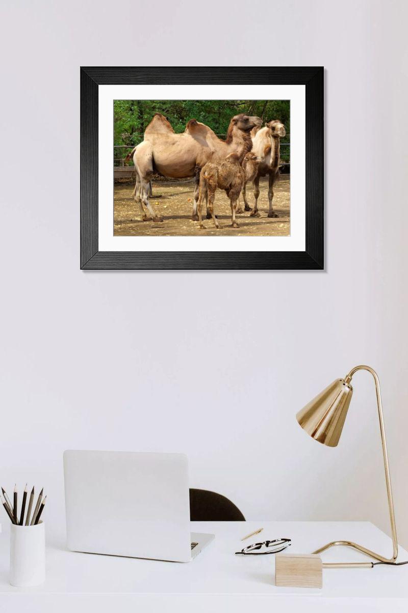 Shown hanging in a room: Modern 14"x12" (36x31cm)