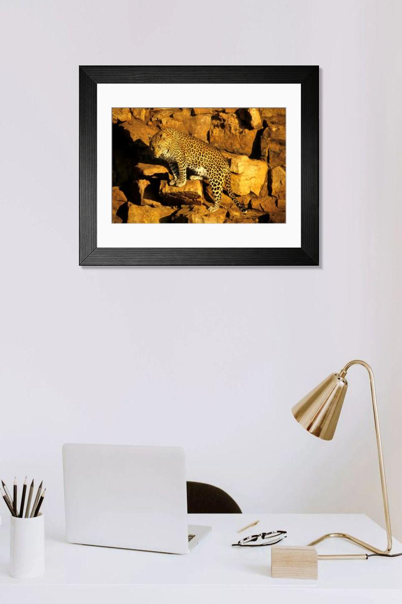Shown hanging in a room: Modern 14"x12" (36x31cm)