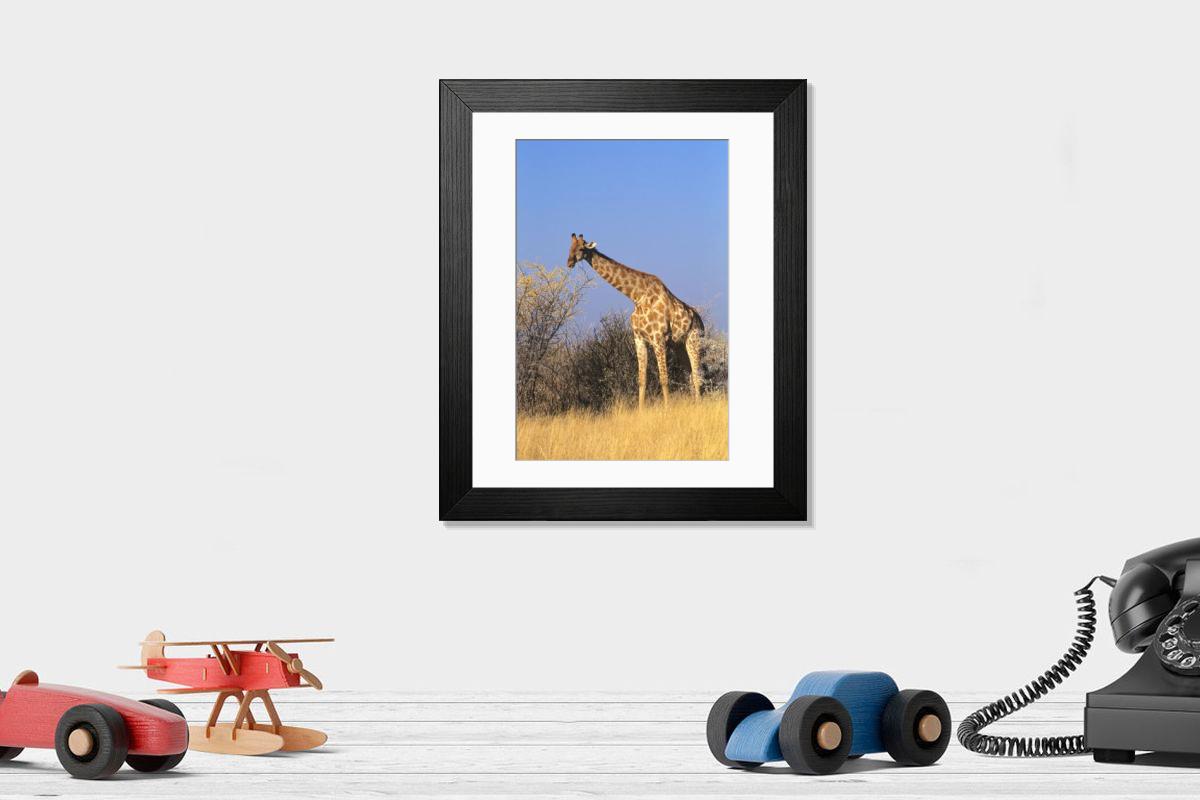 Shown hanging in a room: Modern 14"x12" (36x31cm)
