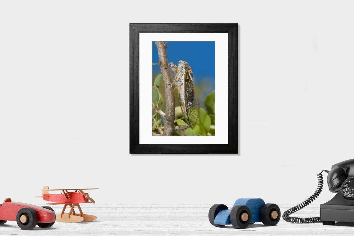 Shown hanging in a room: Modern 14"x12" (36x31cm)