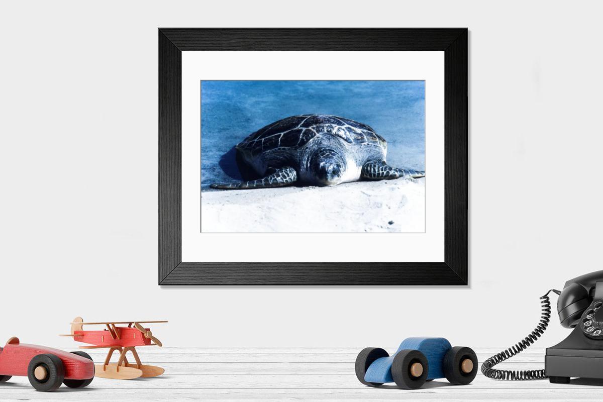 Shown hanging in a room: Modern 14"x12" (36x31cm)