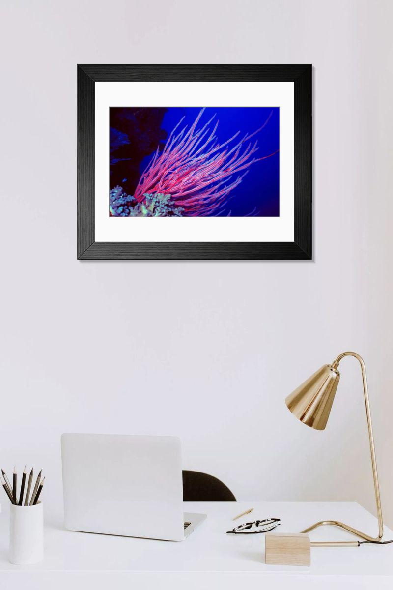 Shown hanging in a room: Modern 14"x12" (36x31cm)