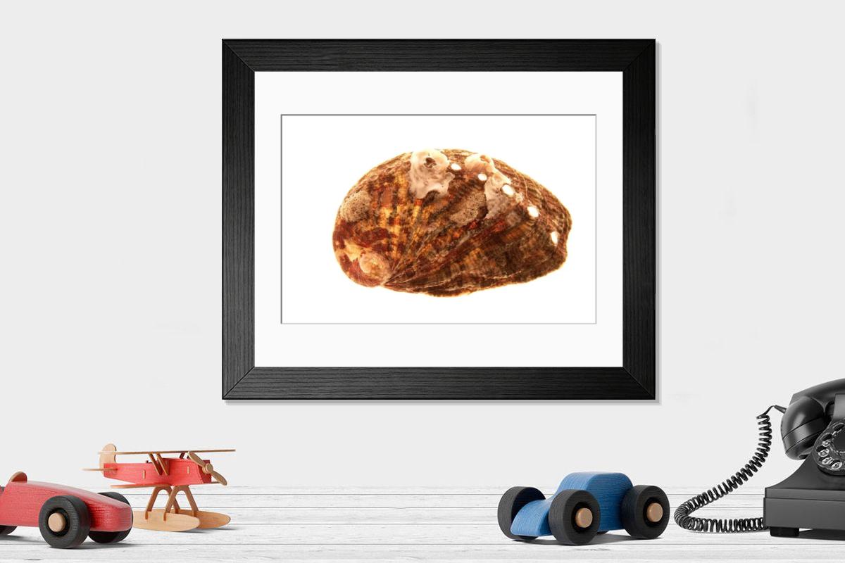 Shown hanging in a room: Modern 14"x12" (36x31cm)