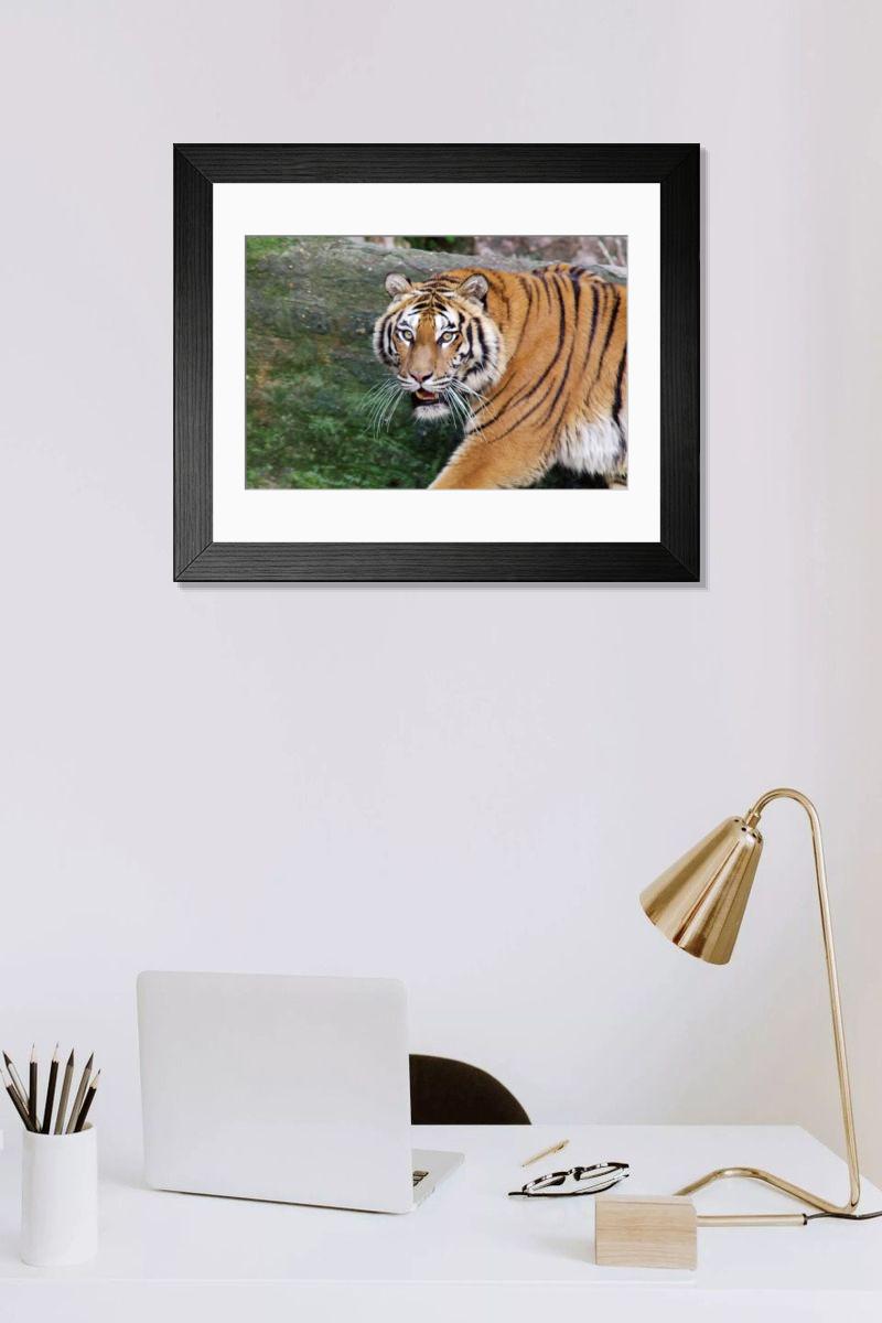 Shown hanging in a room: Modern 14"x12" (36x31cm)
