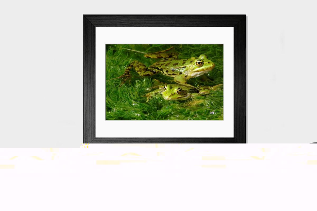 Shown hanging in a room: Modern 14"x12" (36x31cm)