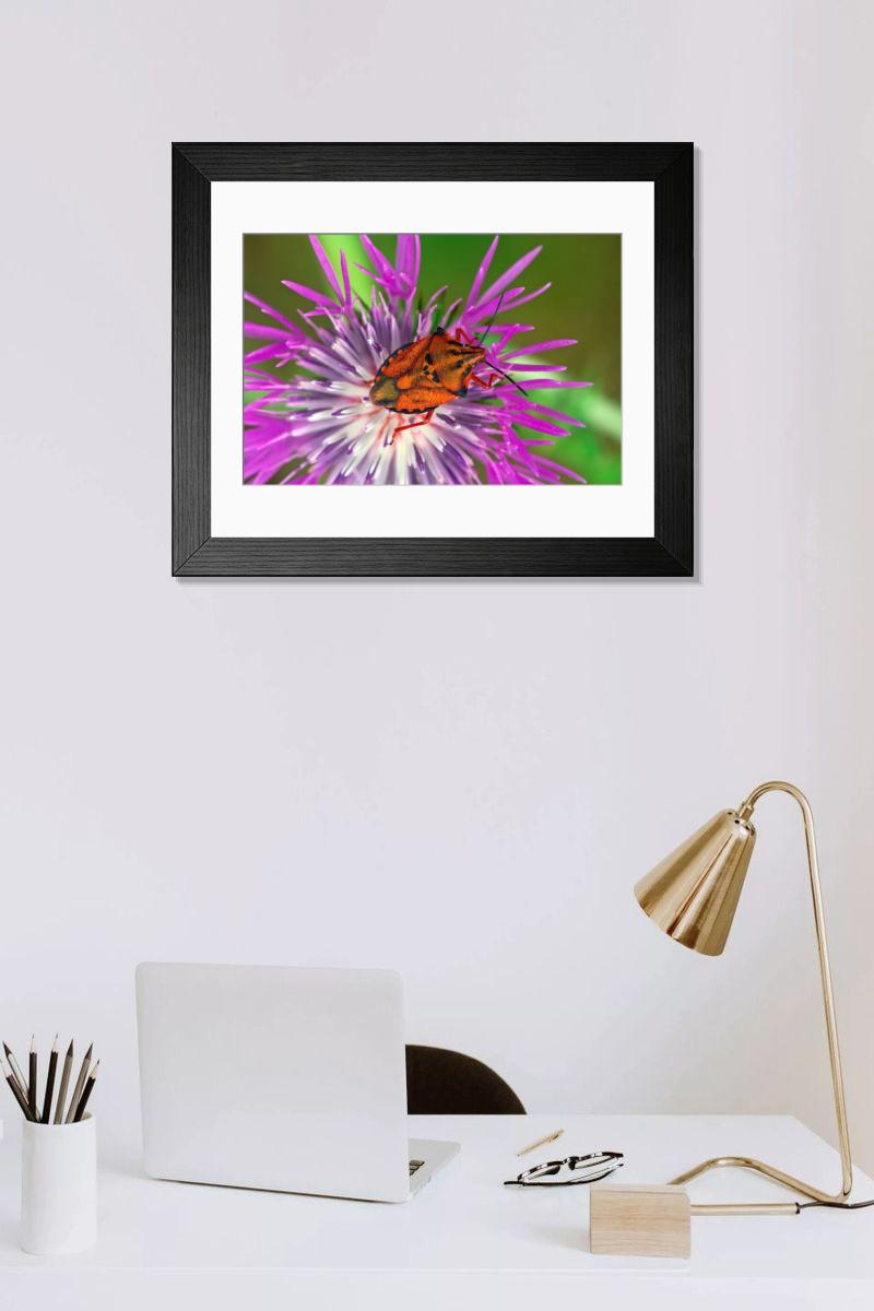 Shown hanging in a room: Modern 14"x12" (36x31cm)