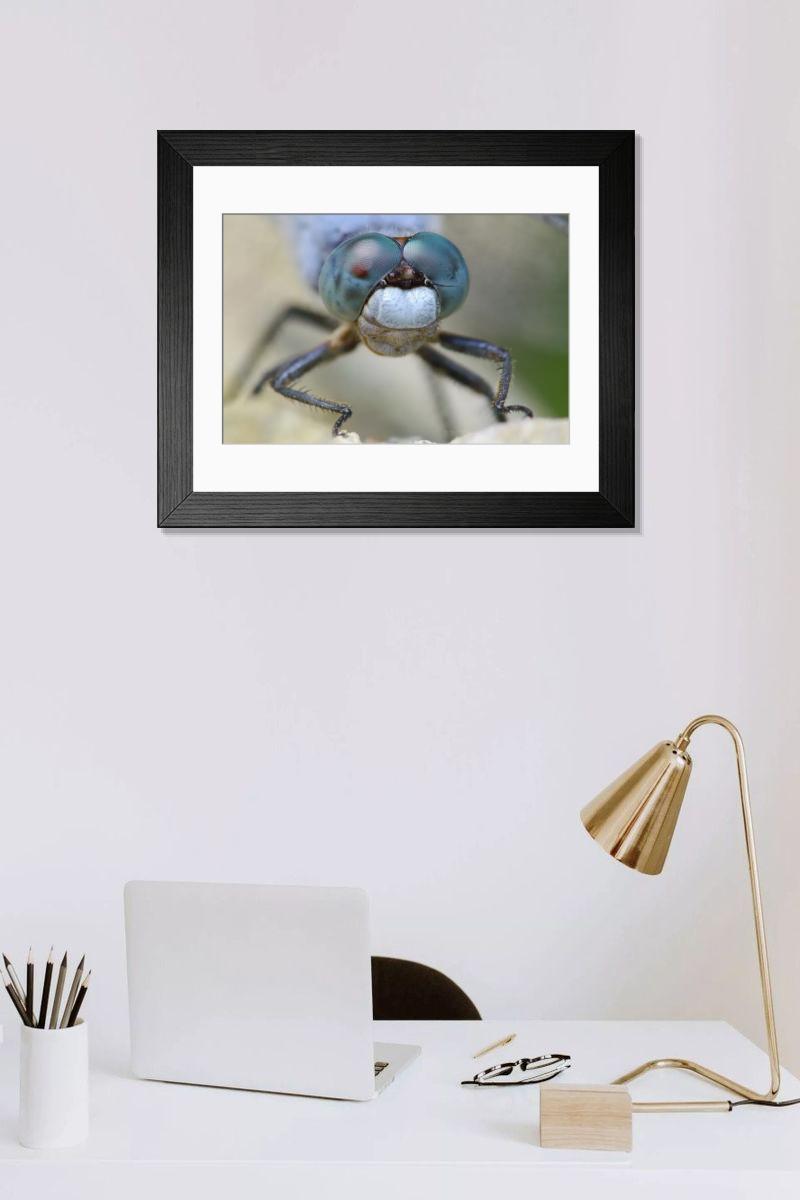Shown hanging in a room: Modern 14"x12" (36x31cm)