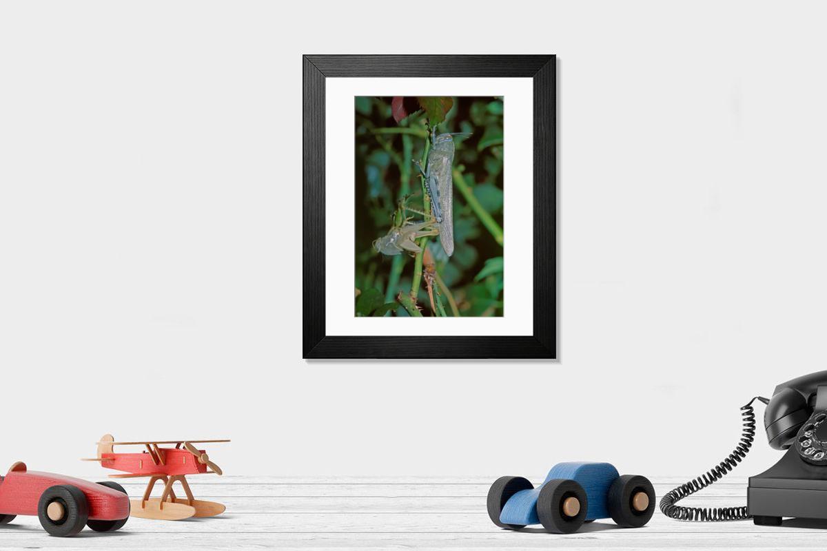 Shown hanging in a room: Modern 14"x12" (36x31cm)
