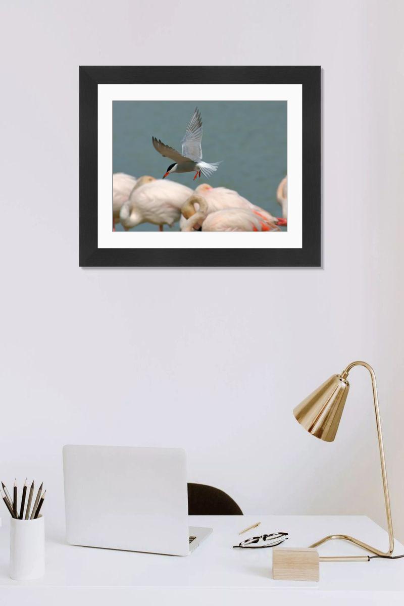 Shown hanging in a room: Modern 14"x12" (36x31cm)