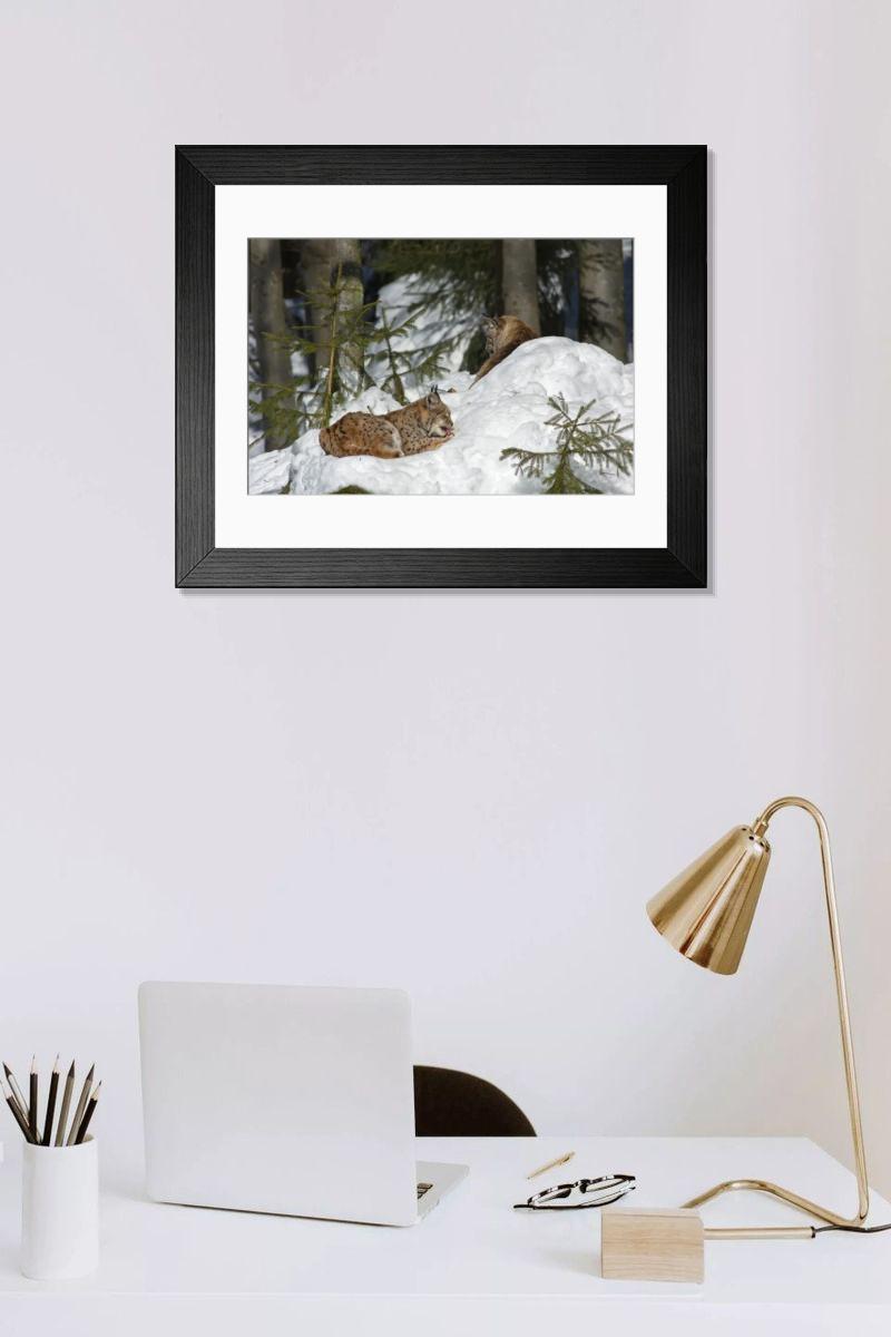 Shown hanging in a room: Modern 14"x12" (36x31cm)