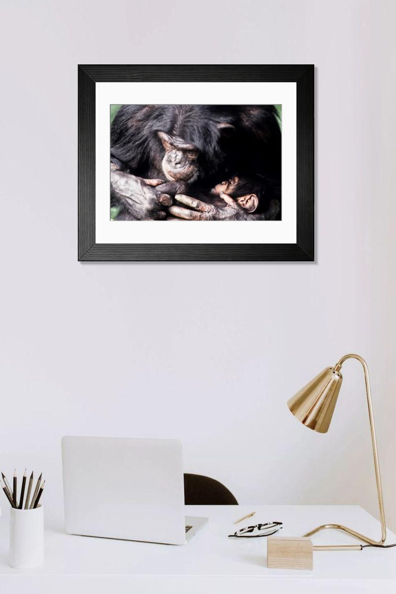 Shown hanging in a room: Modern 14"x12" (36x31cm)
