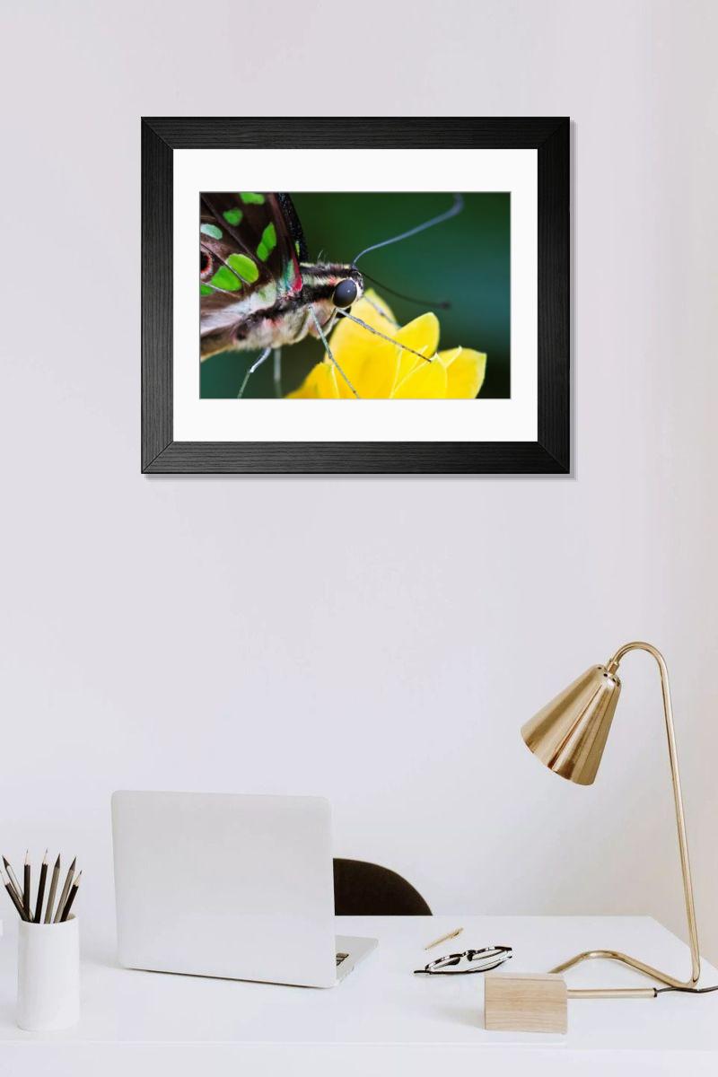 Shown hanging in a room: Modern 14"x12" (36x31cm)